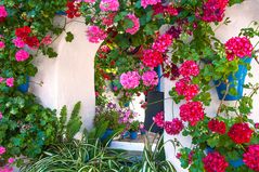 Patios de Córdoba