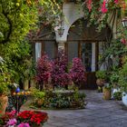 PATIOS DE CÓRDOBA EN INVIERNO.