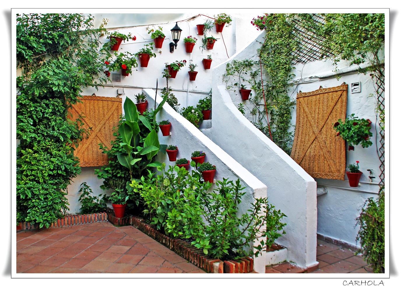 PATIOS DE CÓRDOBA EN MAYO