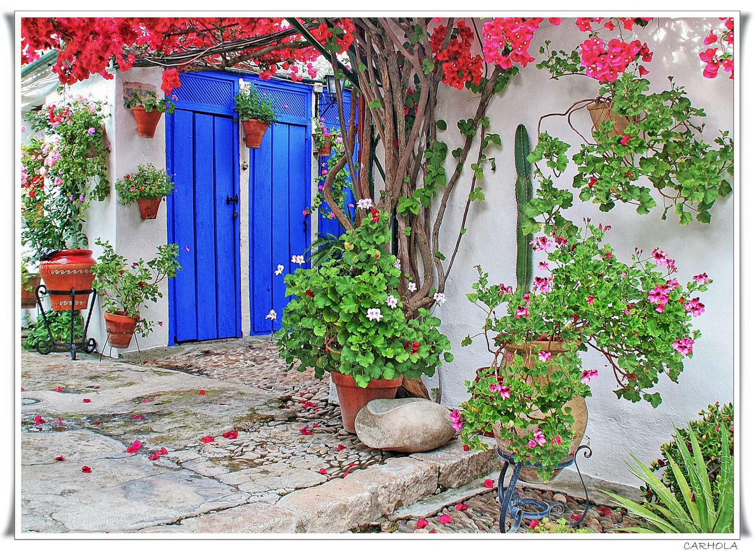 PATIOS DE CÓRDOBA EN MAYO I