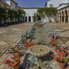 PATIOS DE LAS COLUMNAS (i)