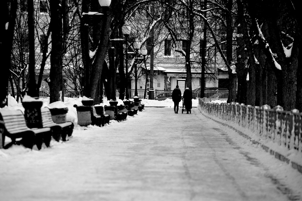 Patriarchenteich, Allee im Winter