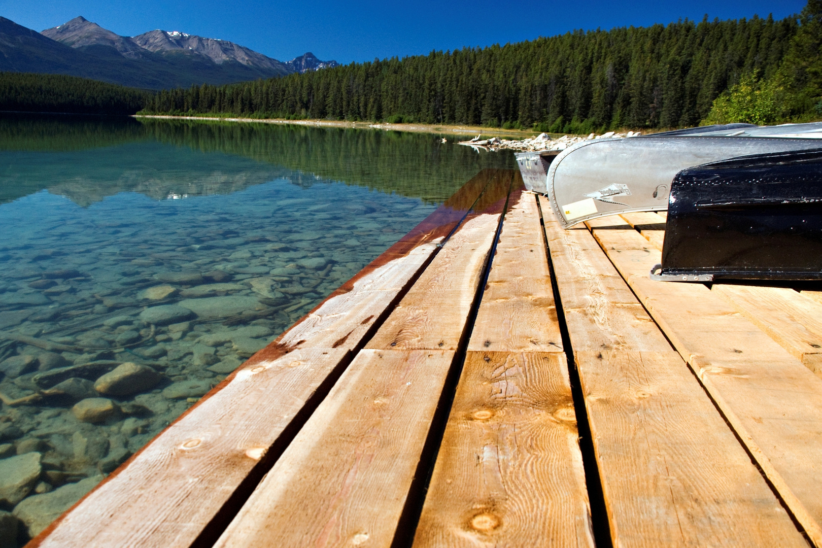 Patricia Lake