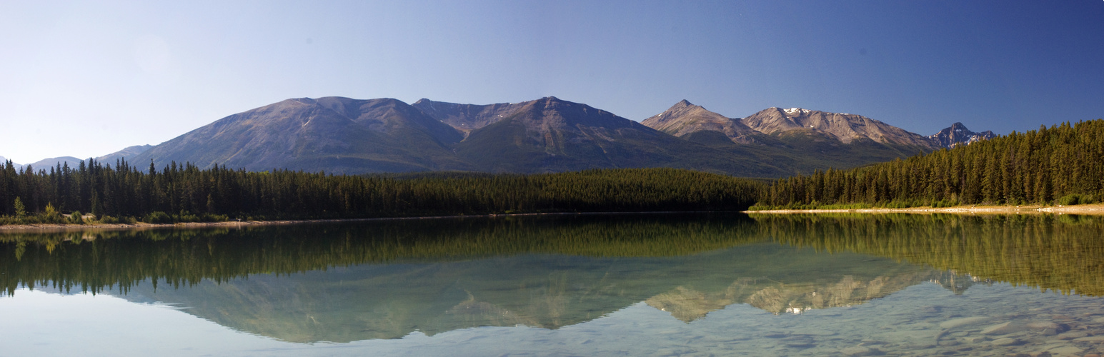 Patricia Lake