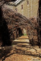 Patrick Dougherty - 2 -