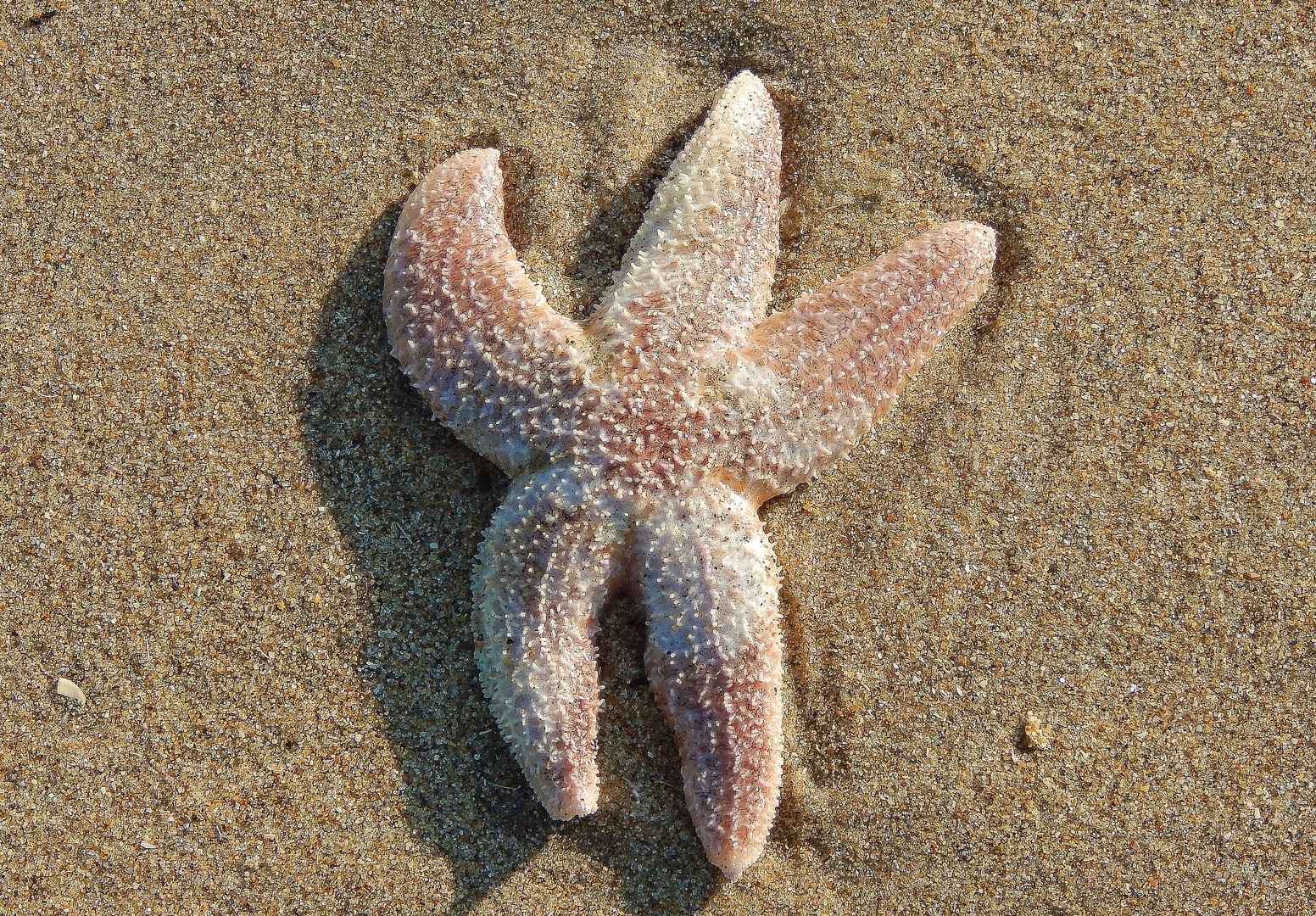 Patrick in Noordwijk