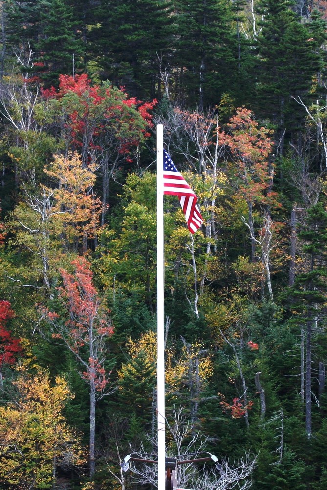 Patriotic Colors