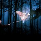 Patronus