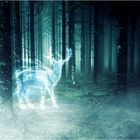 Patronus