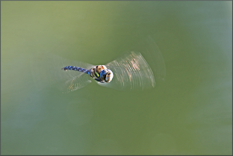 Patrouille *2