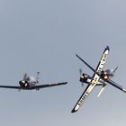 Patrouille Cartouche Dore - Breitscheid 2012