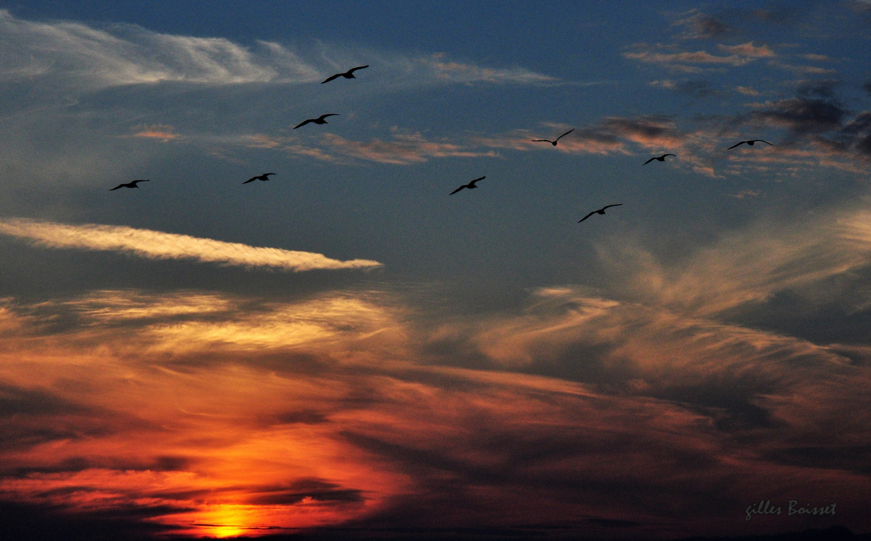 Patrouille de nuit