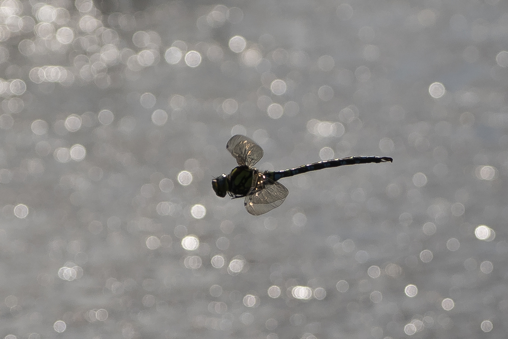 Patrouille Flug 