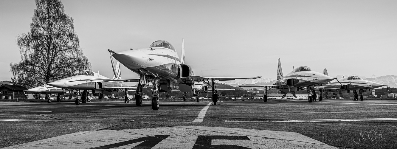 "... Patrouille Suisse... 12.3.22, Airbase Emmen... "