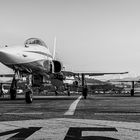 "... Patrouille Suisse... 12.3.22, Airbase Emmen... "