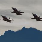 Patrouille Suisse