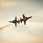 Patrouille Suisse (3) vom 20.08.2010