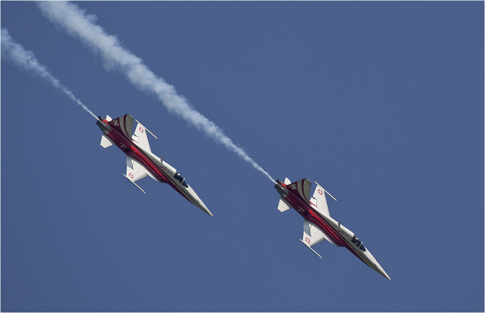 PATROUILLE SUISSE (4)