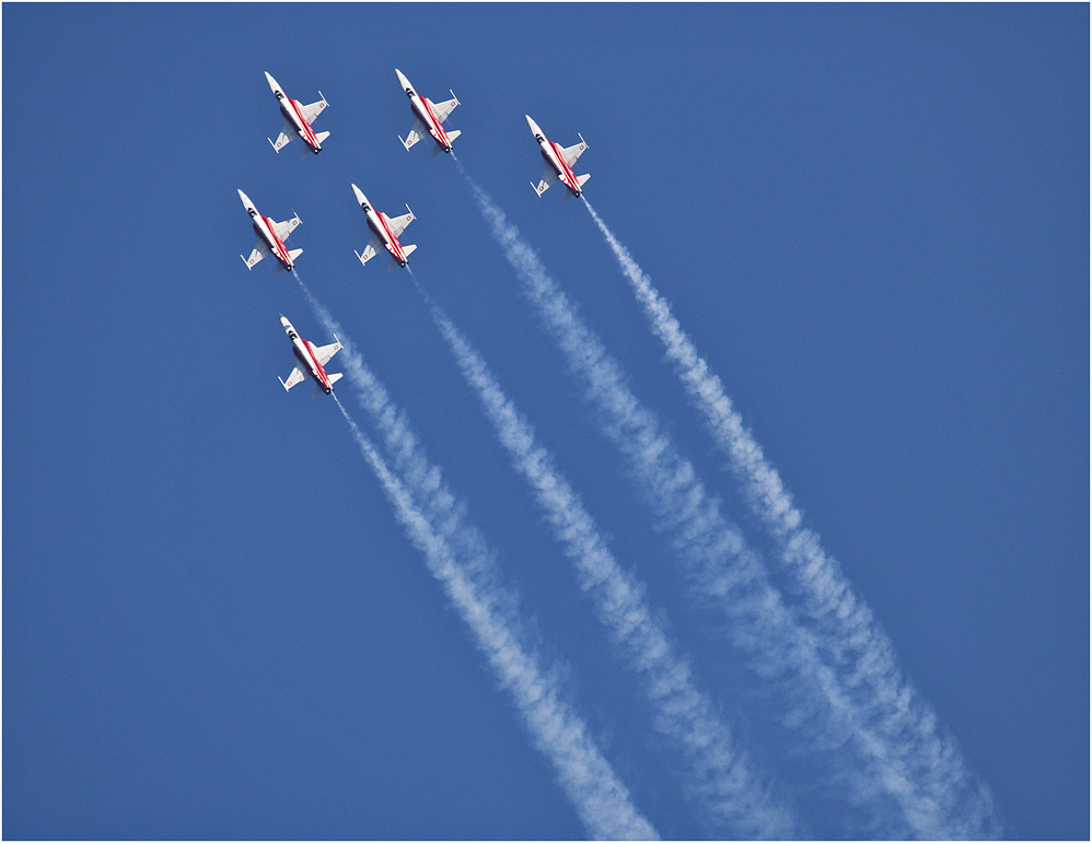 PATROUILLE SUISSE (5)