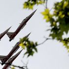 Patrouille Suisse