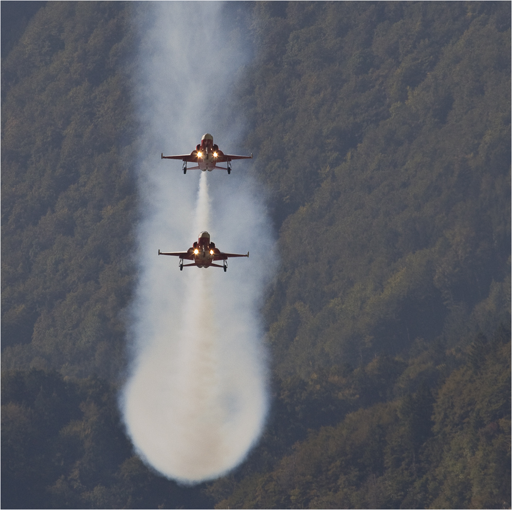 PATROUILLE SUISSE (7)