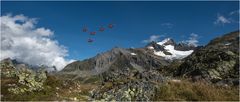 Patrouille Suisse