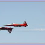 Patrouille Suisse, Airbase Emmen 2025-04-11 765 ©