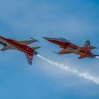 Patrouille Suisse, die Kunstflugstaffel der Schweizer Luftwaffe (© Buelipix)