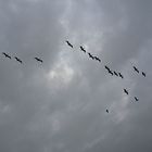 Patrouille Suisse