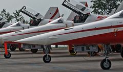 PATROUILLE SUISSE