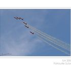 Patrouille Suisse - ILA 2008