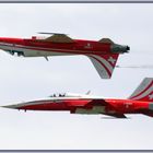 Patrouille Suisse Northrop F-5E Tiger II 