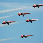 Patrouille Suisse, Northrop F-5E Tiger II