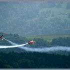 Patrouille Suisse Northrop F-5E Tiger II 