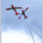 Patrouille Suisse PC-7 2019-10-05 260 Pseudo HDR ©