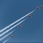 Patrouille Suisse - Shadow