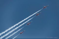 Patrouille Suisse - Shadow