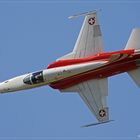 ~ Patrouille Suisse Solo @ Rivolto Airshow 2010 ~