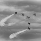 Patrouille Suisse - Swan