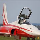 Patrouille Suisse Tiger F-5