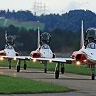 Patrouille Suisse Tiger Rollen zum Start