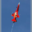 Patrouille Suisse Zigairmeet Mollis 2023 2023-08-18 1176 (124) ©