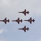 Patrouille Suisse zum Hafengeburtstag Hamburg 2009 - Bild 6