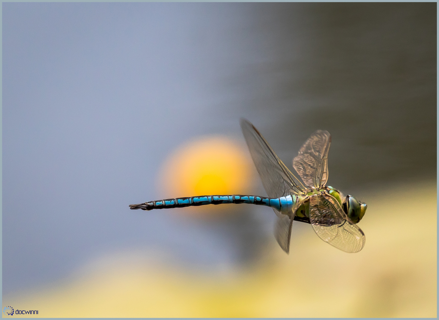 Patrouillenflug