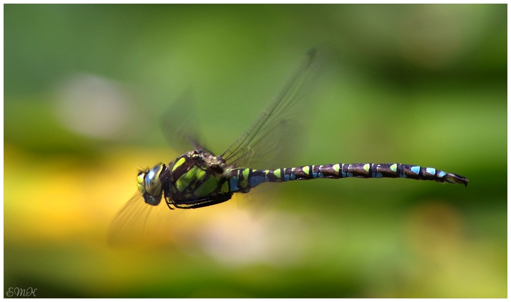 Patroullien-Flug