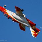 "Patrulla Águila" Rivolto 2010