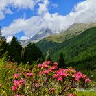 Patschertal Osttirol