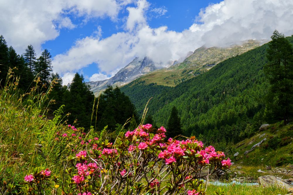 Patschertal Osttirol