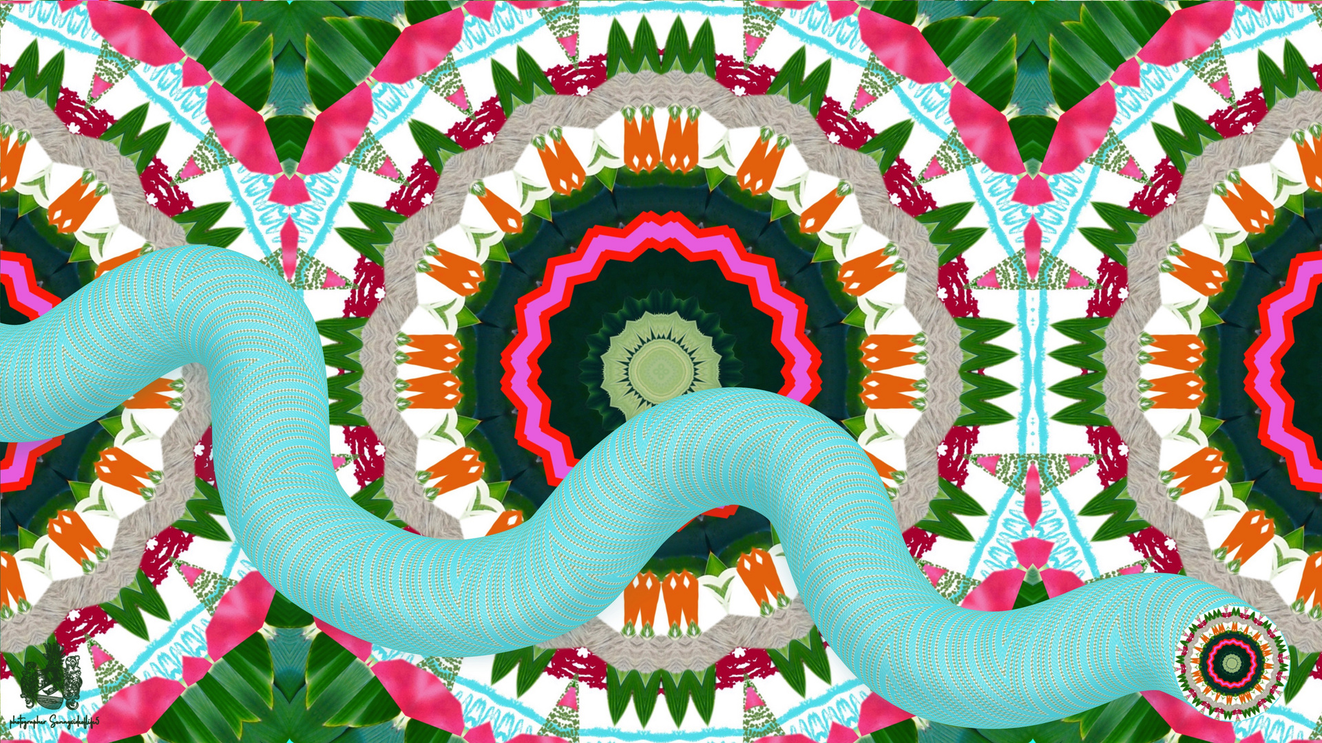 PATTERN - WORM