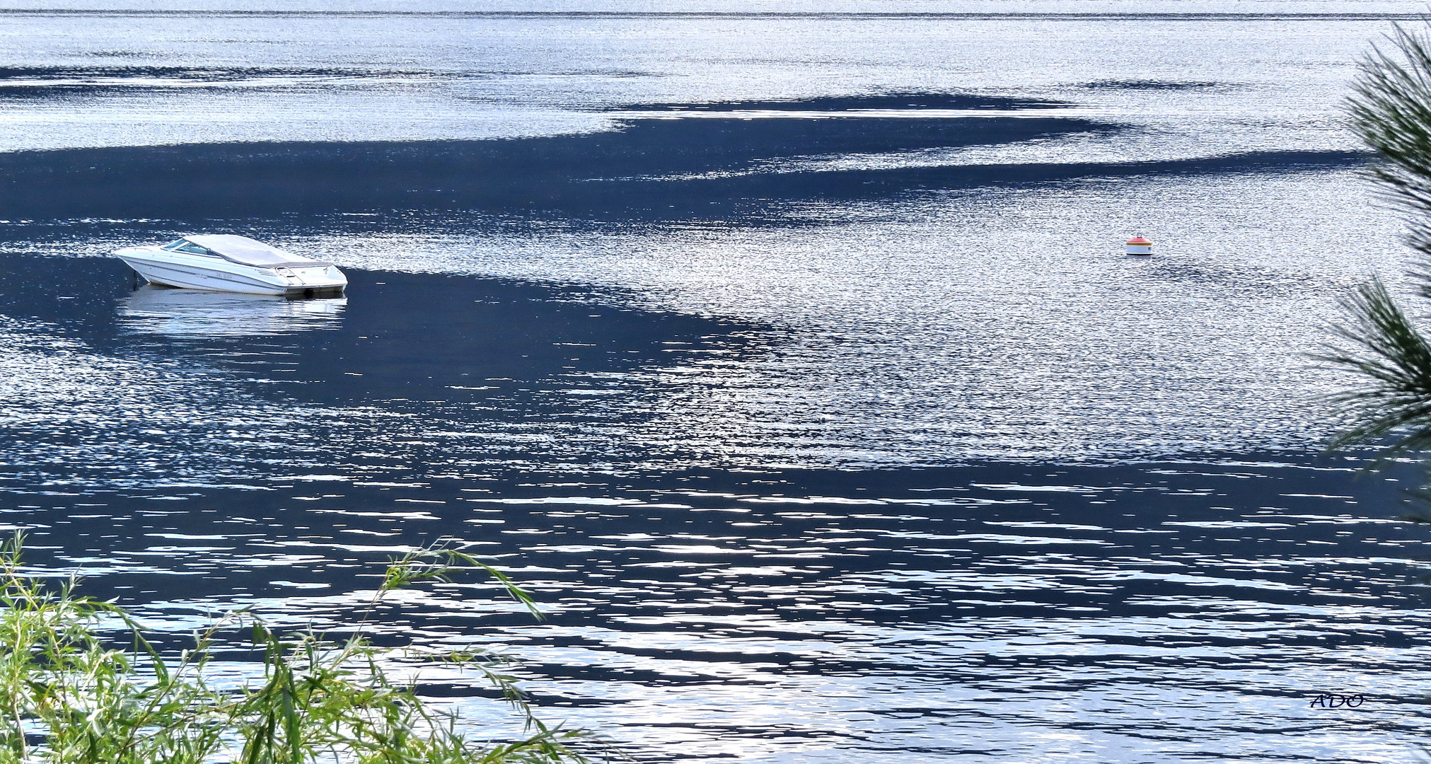 Patterns of the Wind